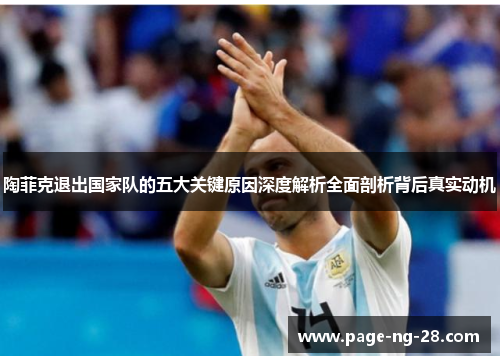 陶菲克退出国家队的五大关键原因深度解析全面剖析背后真实动机