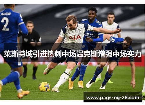 莱斯特城引进热刺中场温克斯增强中场实力